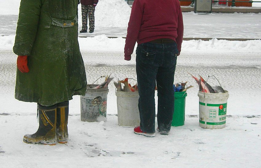 DSCN0237-3.jpg