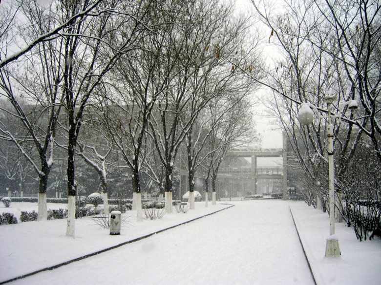 image_large_conew1.jpg