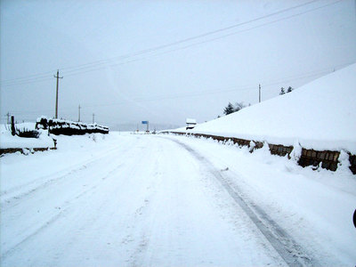 t013ba56067885ab8ac.jpg