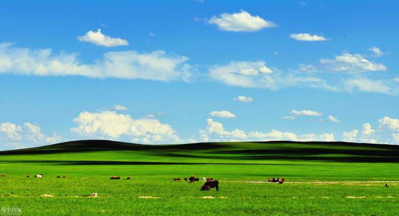 2011080302_84e77798d615adc1b191HmDtfS0eHpS6_conew1.jpg