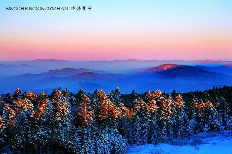 photo_20151125083116622673_conew1.jpg