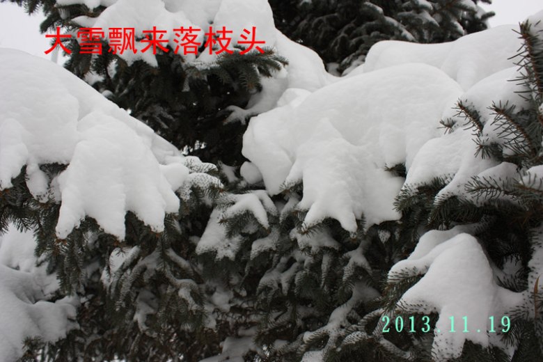 IMG_4977__conew1.jpg