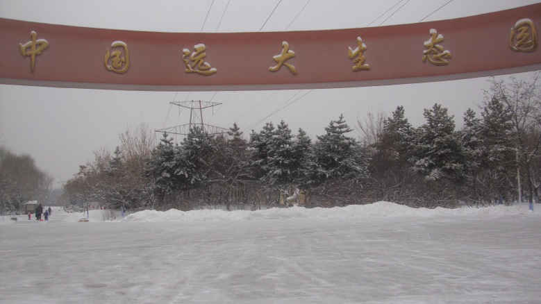 DSC00517_conew1.jpg