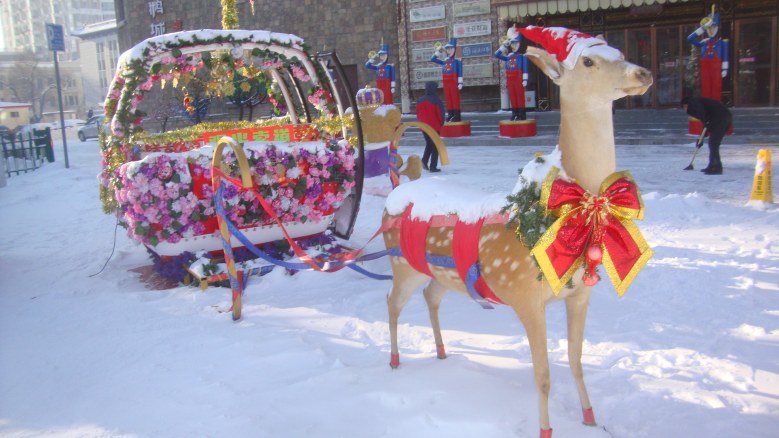 DSC00620_conew2.jpg