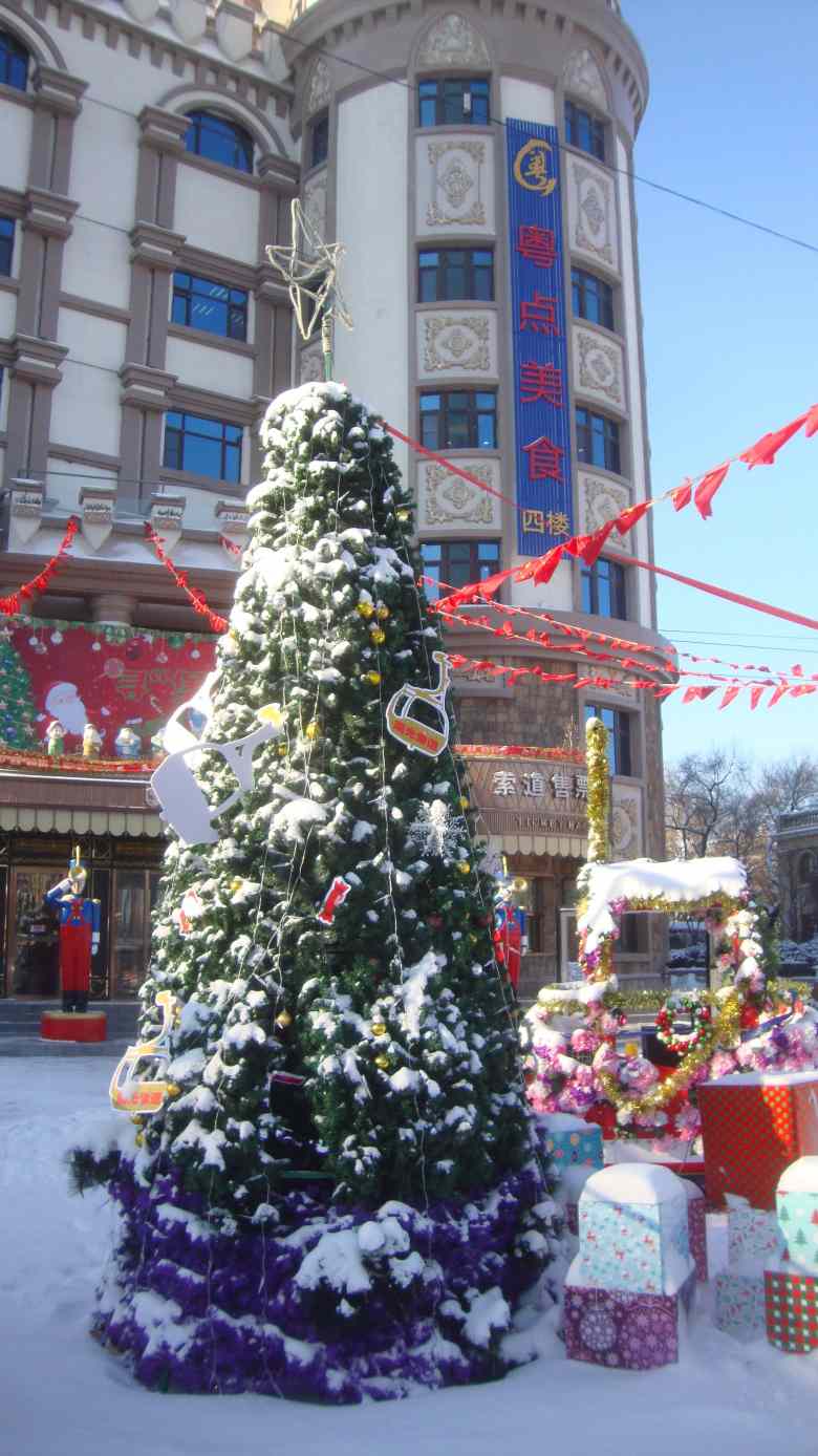 DSC00626_conew1.jpg