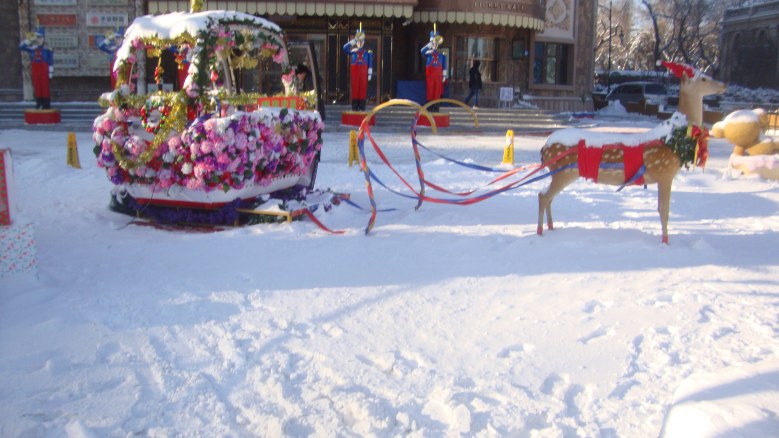 DSC00621_conew1.jpg