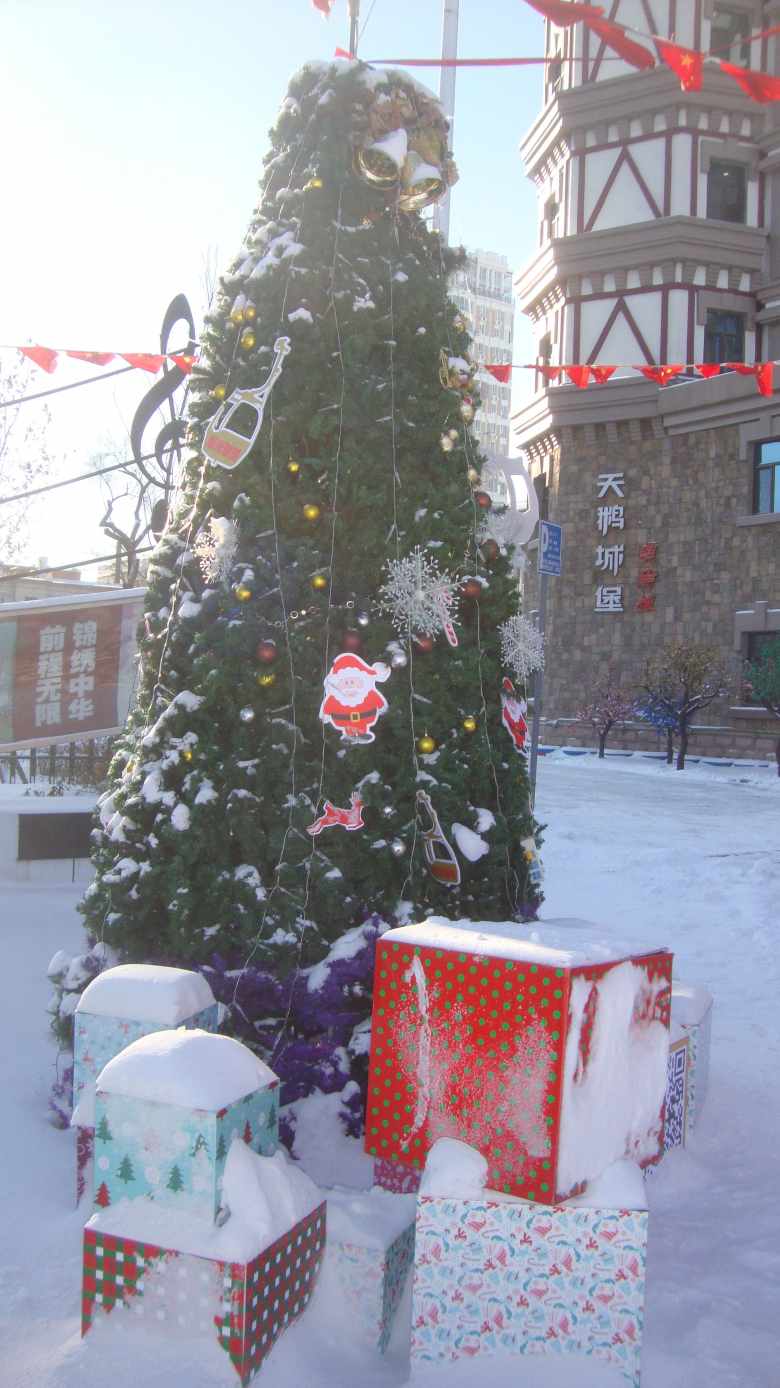 DSC00627_conew1.jpg