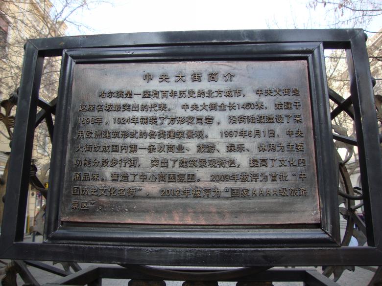 DSC05347_conew1.jpg
