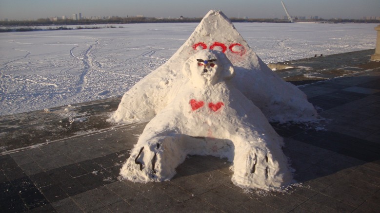DSC00792_conew1.jpg