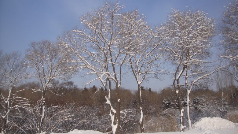 DSC00937_conew1.jpg