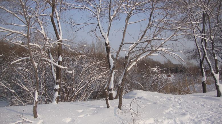 DSC00932_conew1.jpg