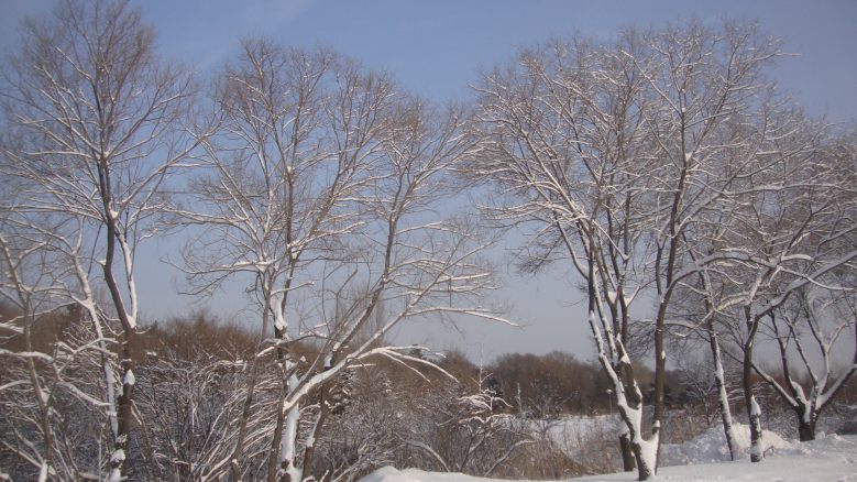 DSC00931_conew1.jpg
