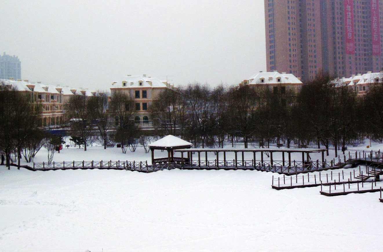 DSCN92951_conew1.jpg