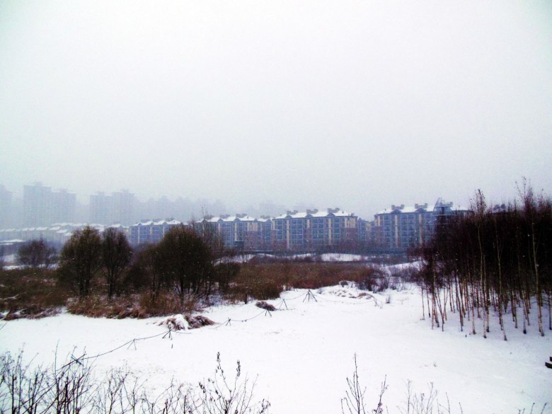 photo_20151210203359881061_conew1.jpg