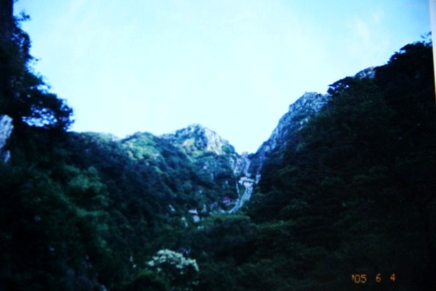 IMG_9512_conew1.jpg