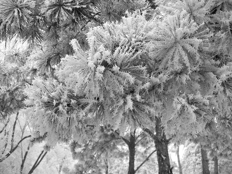 DSCN0494-3.jpg
