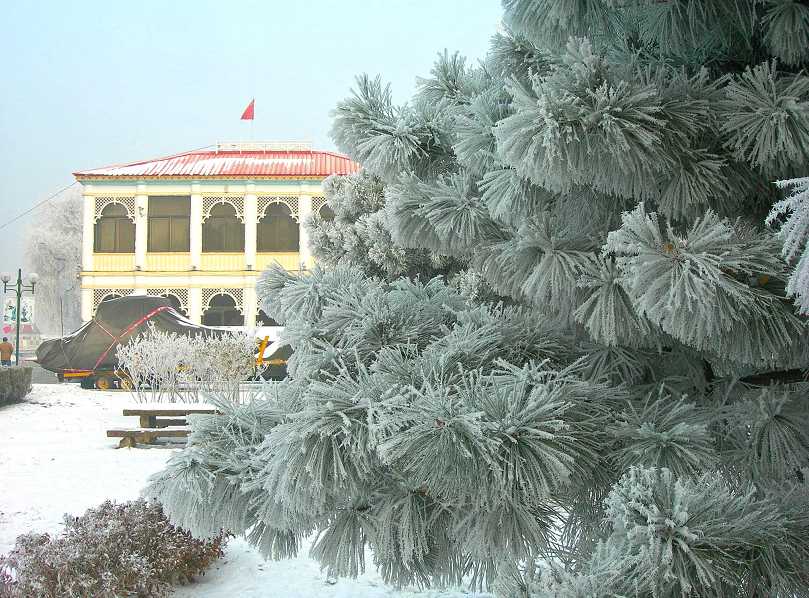 DSCN0539-3.jpg
