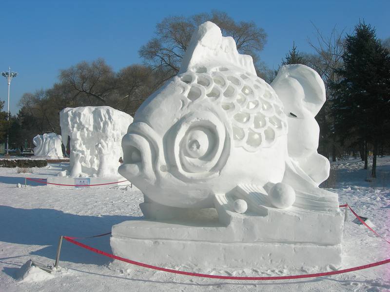 DSCN1018-3.jpg