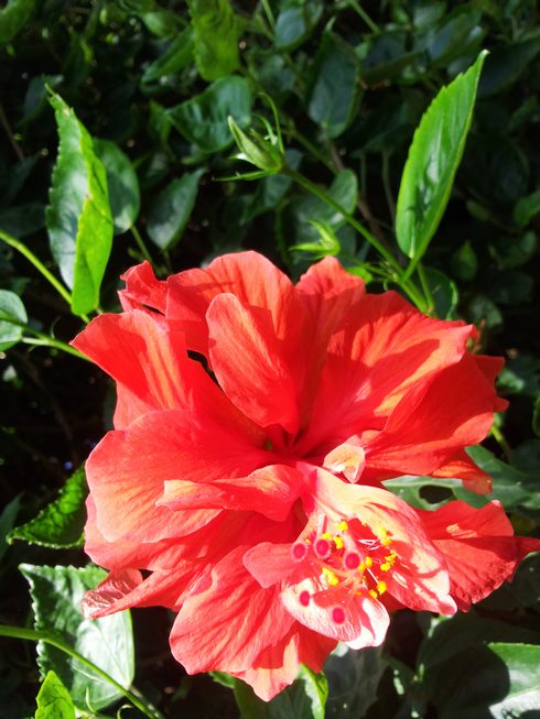20160106_132401.jpg