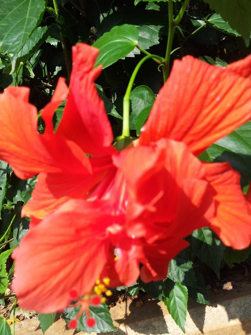 20160106_132513.jpg