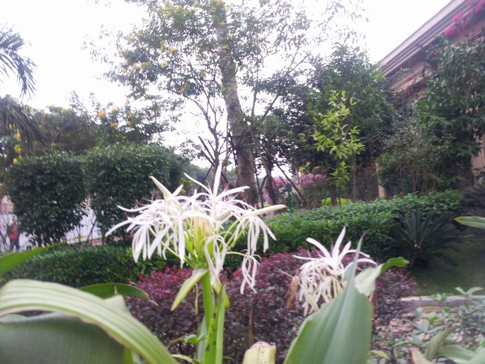 20151230_093916.jpg