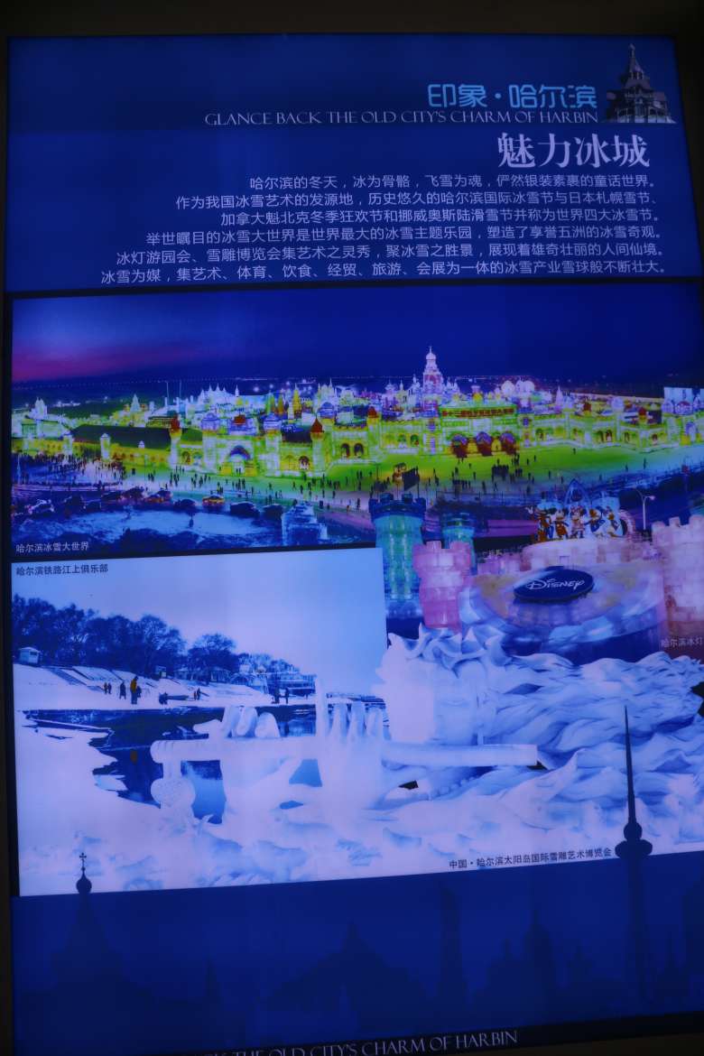 IMG_6879_conew1.jpg
