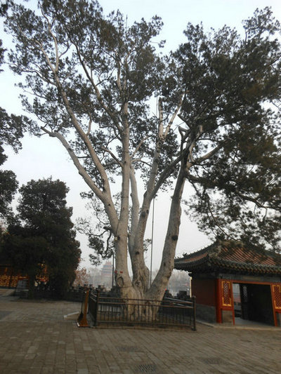 19.JPG