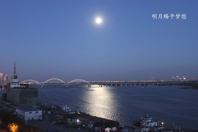 IMG_5095_.jpg