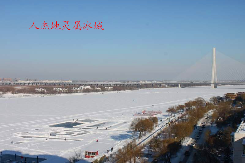 IMG_5781_.jpg