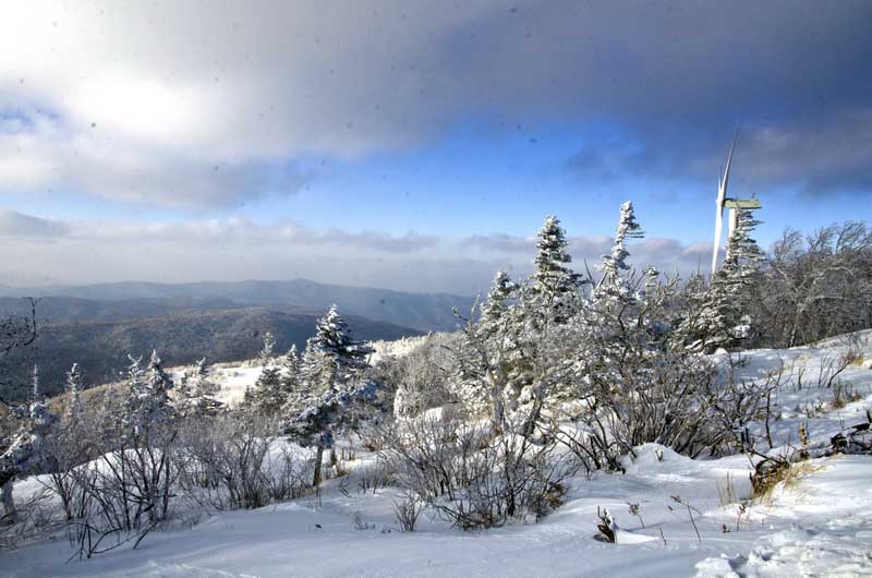 DSC_5746_С.jpg