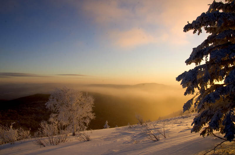 DSC_5966_С.jpg