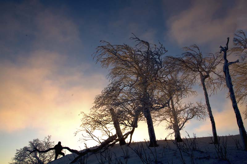 DSC_5977_С.jpg