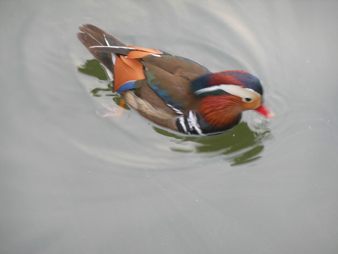 7.JPG