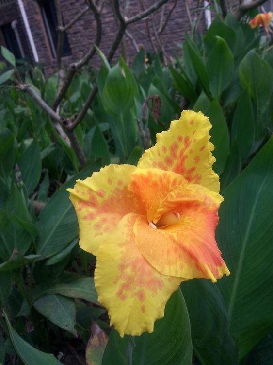 20160101_090004.jpg