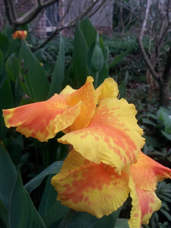 20160101_090056.jpg