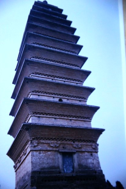 IMG_9648_conew1.jpg
