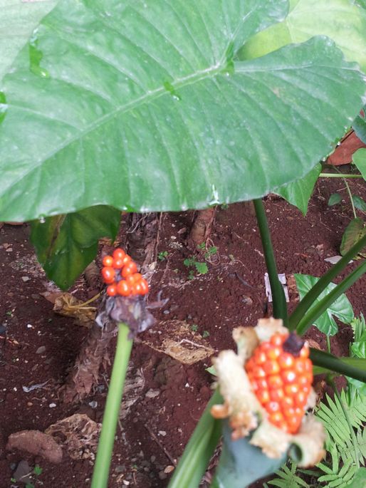 20160107_090452.jpg
