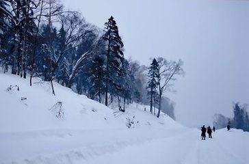 123.jpg