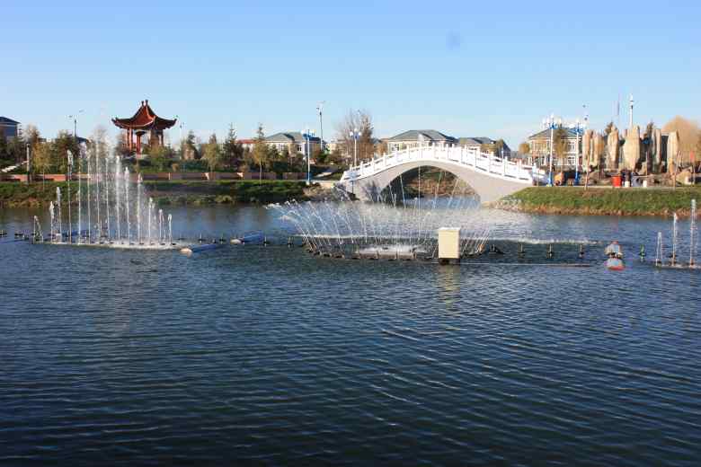 IMG_4324_conew1.jpg