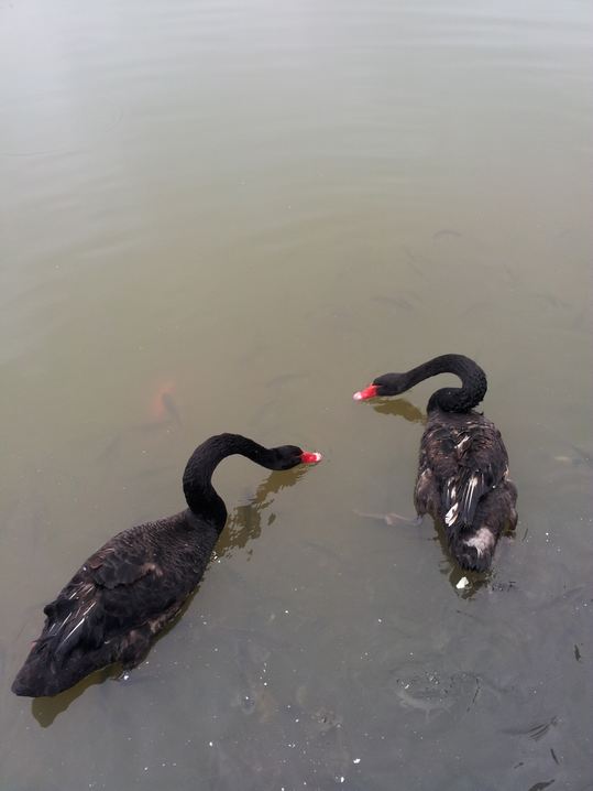 20160127_162855.jpg