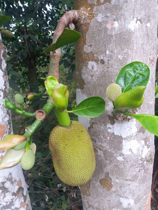 20160113_150011.jpg
