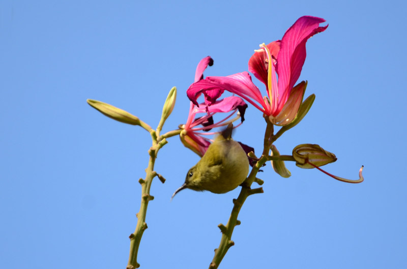 DSC_6065_ͼ.jpg
