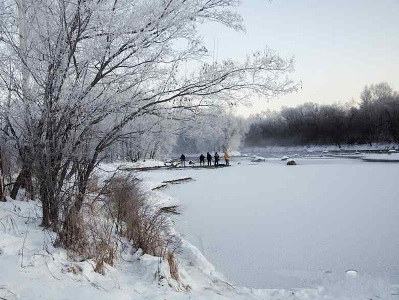 081134s2vi3760p2rlqssr_conew1.jpg