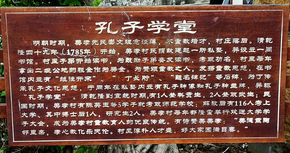 DSC00218__1.JPG