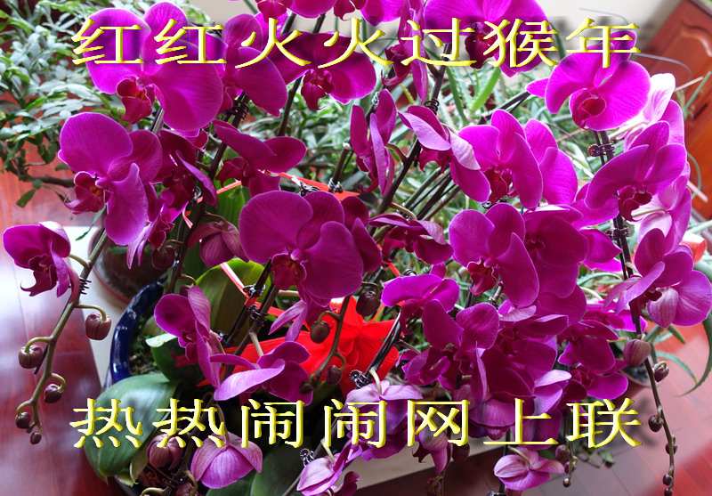 DSC095391.jpg