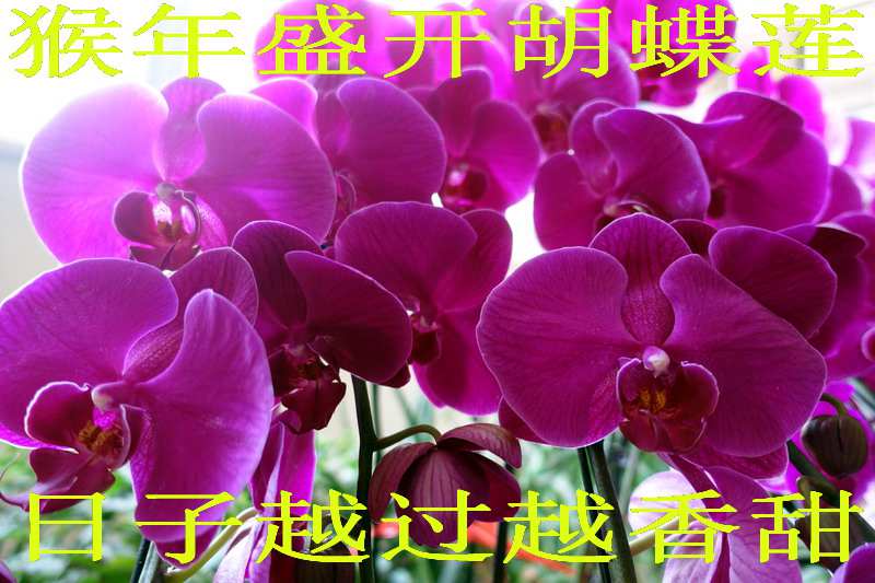 DSC095381.jpg