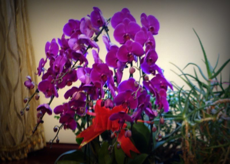 DSC095351_.jpg