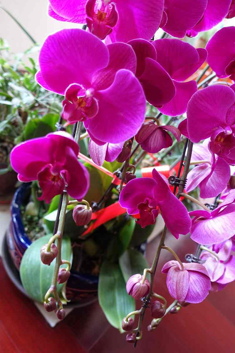 DSC09537_.jpg