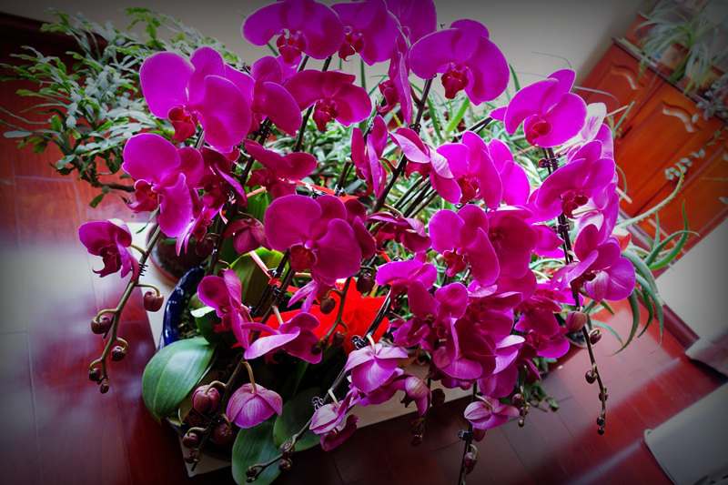 DSC09539_.jpg