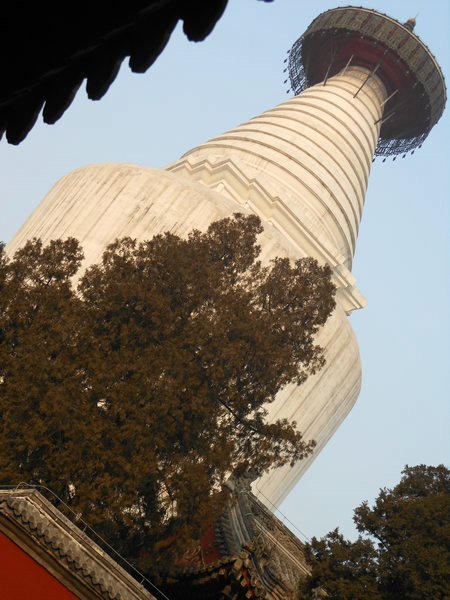 10.JPG